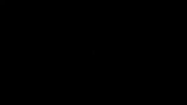 Slide 7